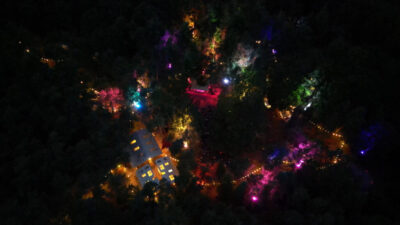 hi-res-between-the-trees-festival-2 hi-res-between-the-trees-festival-2